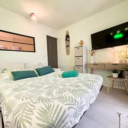 Appartamento Surfing T2 Accès Privé, Parking, Wifi Dune Seignosse