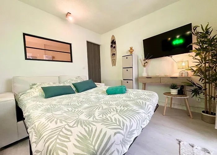 Apartman Surfing T2 Acces Prive, Parking, Wifi Dune Seignosse